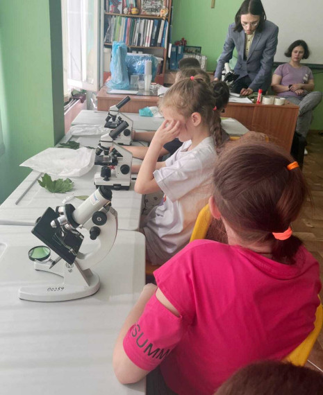 Кванториум.